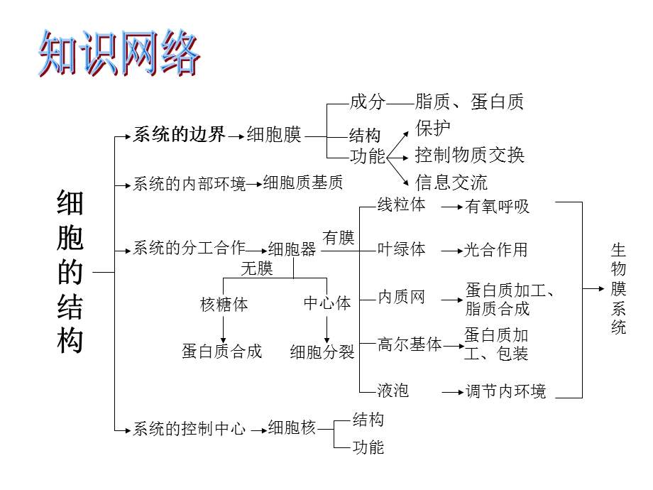 周五讲课复习第三章细胞的基本结构.ppt_第3页