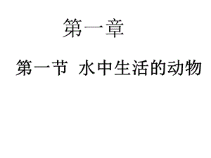 各种环境中的生物.ppt