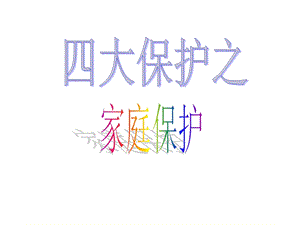 四大保护之家庭保护.ppt