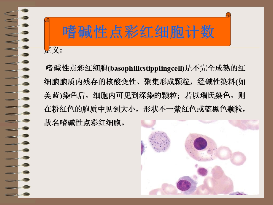 嗜点彩红细胞和网织红细胞.ppt_第2页