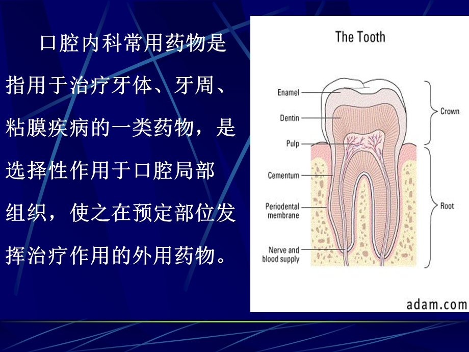 口腔药物及材料.ppt_第2页