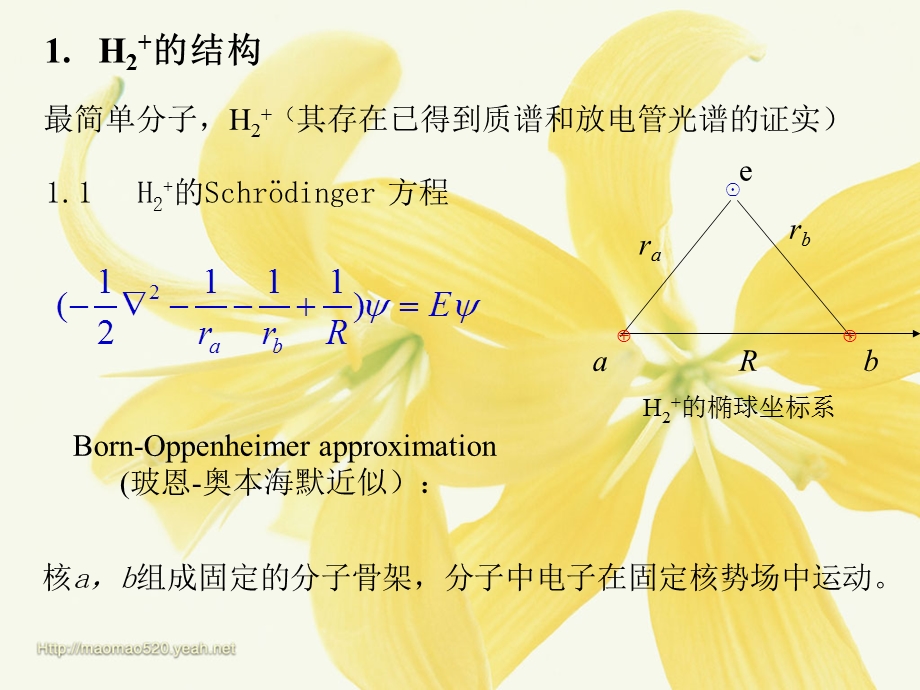 双原子分子的结构.ppt_第3页