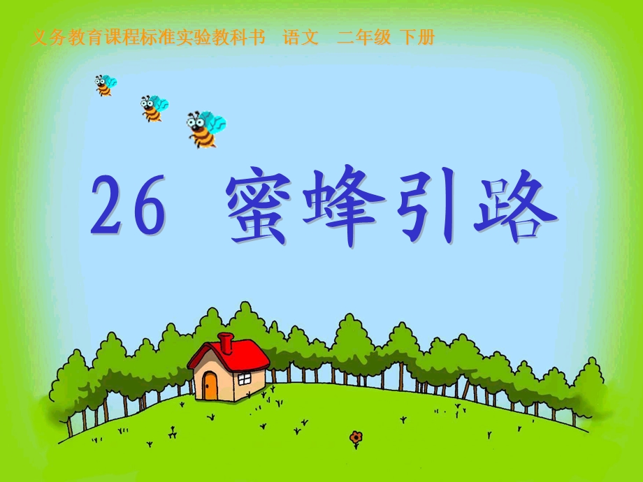 26蜜蜂引路张绍最后定稿.ppt_第3页