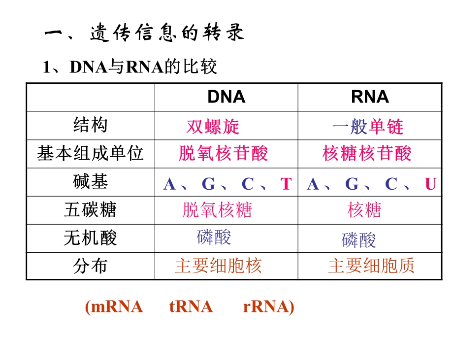 基因指导蛋白质的合成A.ppt_第3页