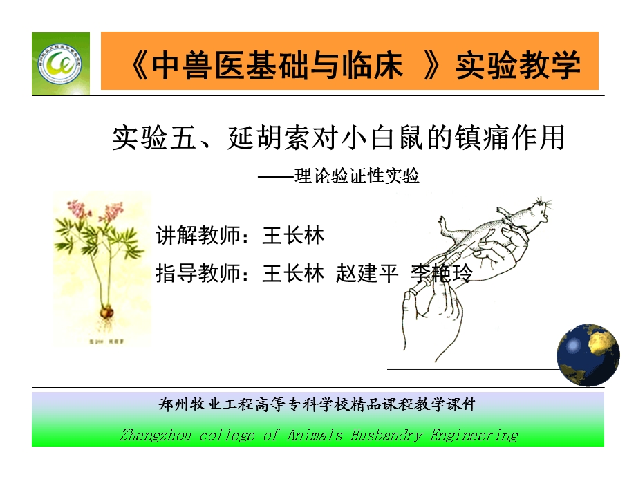 实验五 延胡索对小白鼠的镇痛作用.ppt_第2页