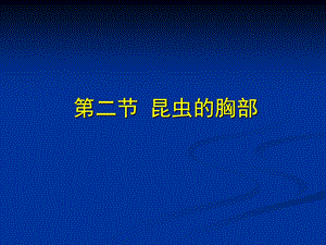 昆虫学课件第二章 昆虫的外部形态 胸部.ppt