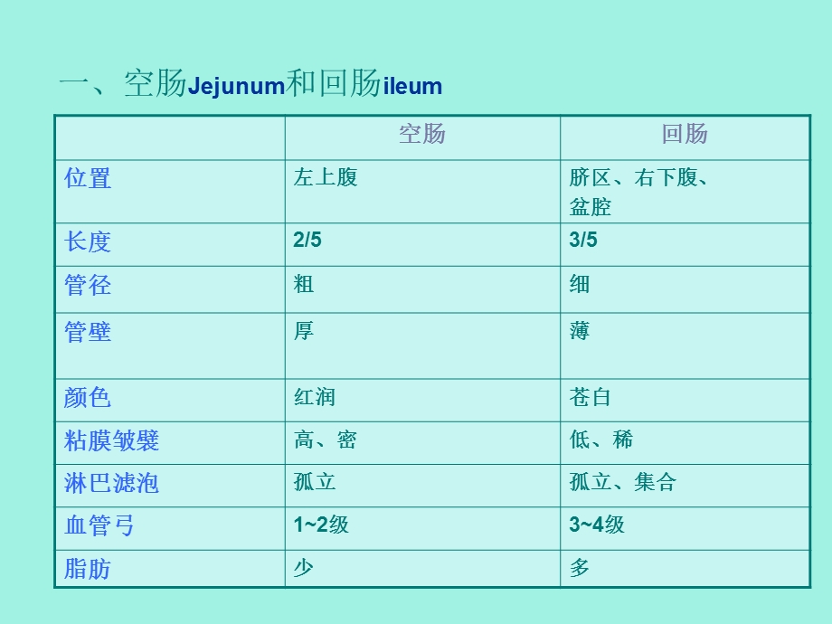 局解结肠下区.ppt_第3页