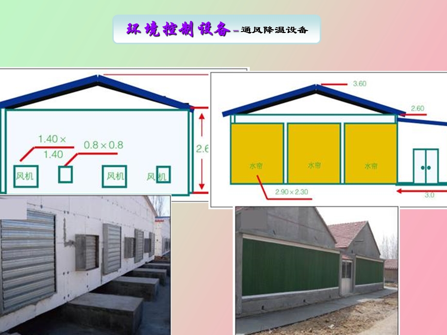 家禽设备的应用.ppt_第3页