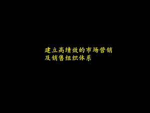 建立高绩效的市场营销及销售组织体系课件.ppt