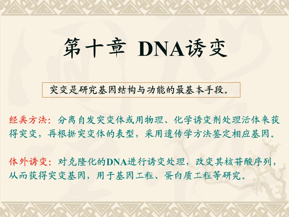 基因工程8-DNA诱变.ppt_第1页