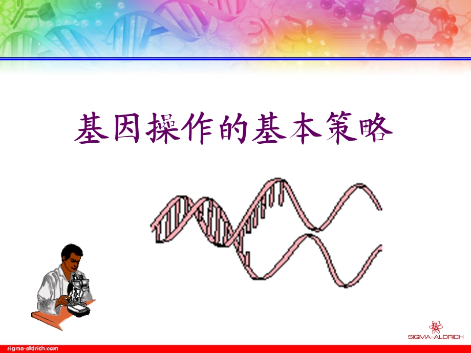 基因操作及其医学应用1讲义.ppt_第2页