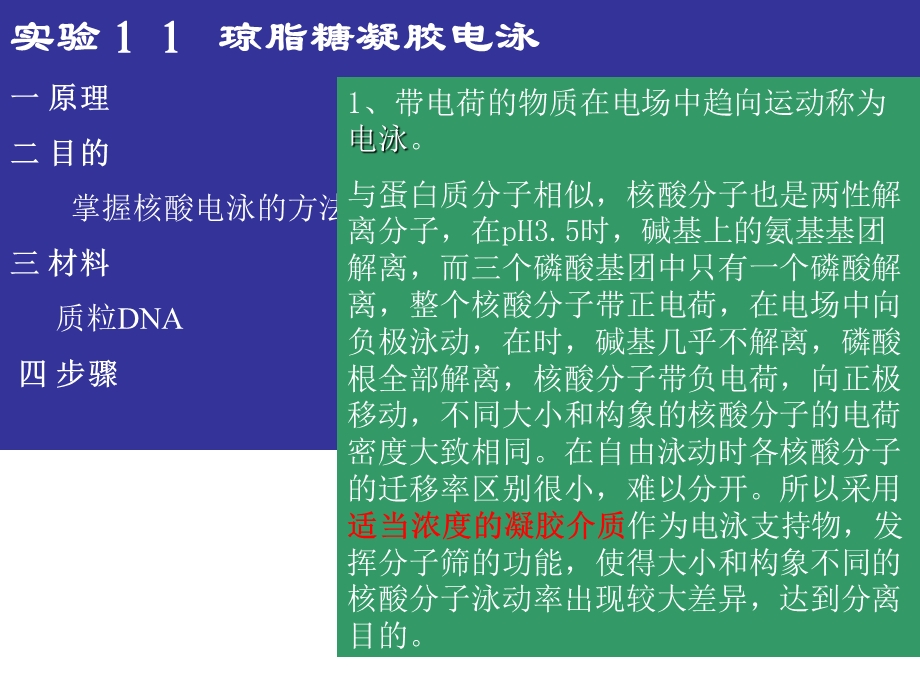 实验琼脂糖凝胶电泳一原理二目的掌握核酸电泳的方法.ppt_第1页