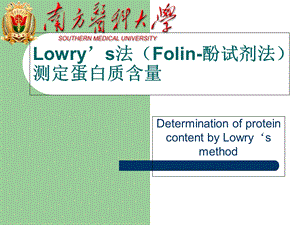 实验1Folin-酚试剂法测蛋白质含量.ppt