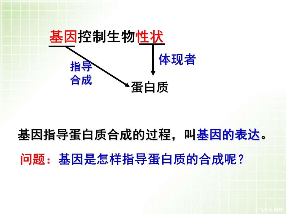 基因指导蛋白质的合成jk.ppt_第2页