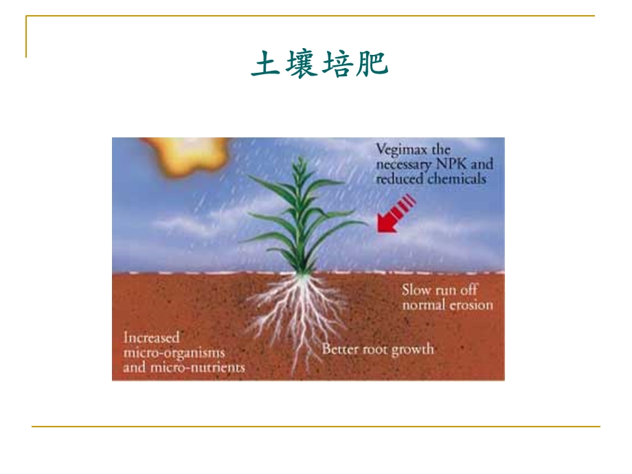 土壤培肥及土壤污染-土壤培肥.ppt_第1页