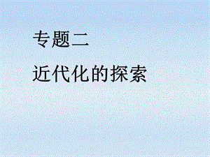 山东省日照开发区中学八年级历史上册《近代化的探索》.ppt