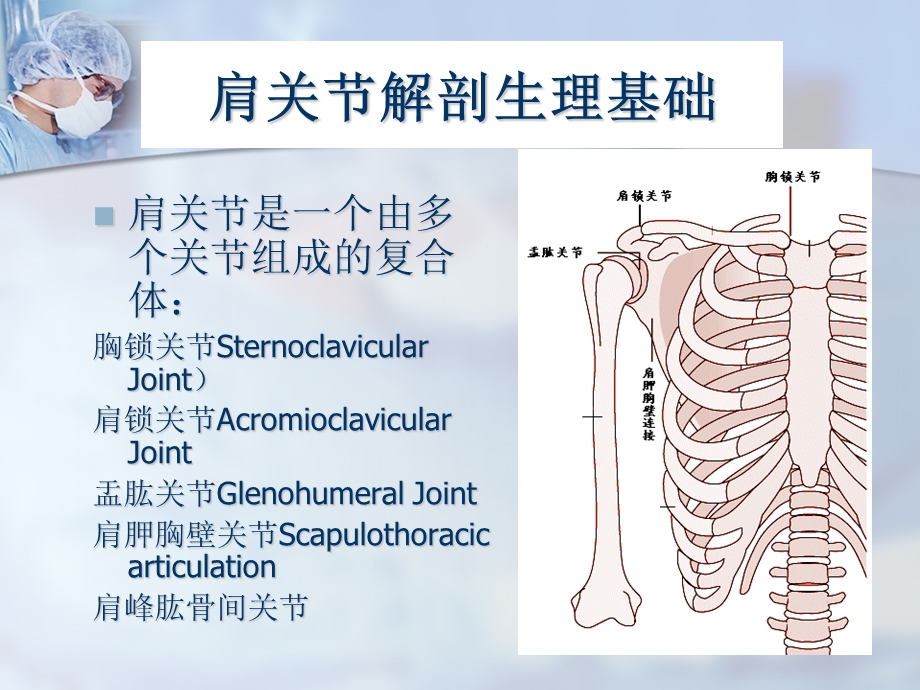 外伤史以跌倒手掌撑地最多见.ppt_第3页