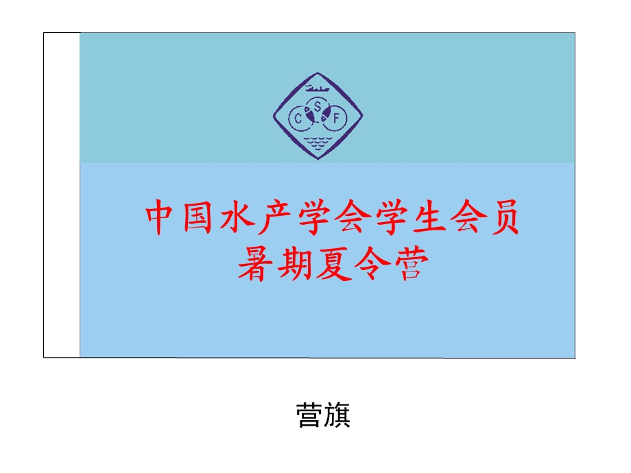 夏令营活动营旗、文化衫及帽子设计图.ppt_第1页