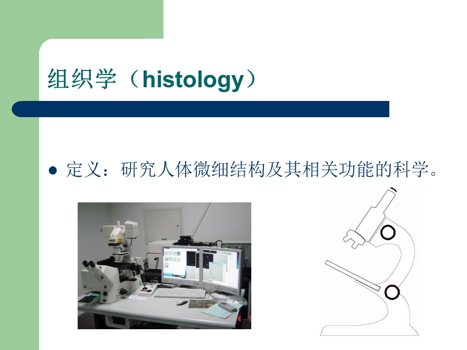 康复1细胞和上皮修.ppt_第2页