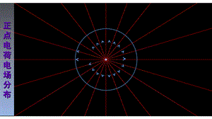 常见电场的电场线分布.ppt