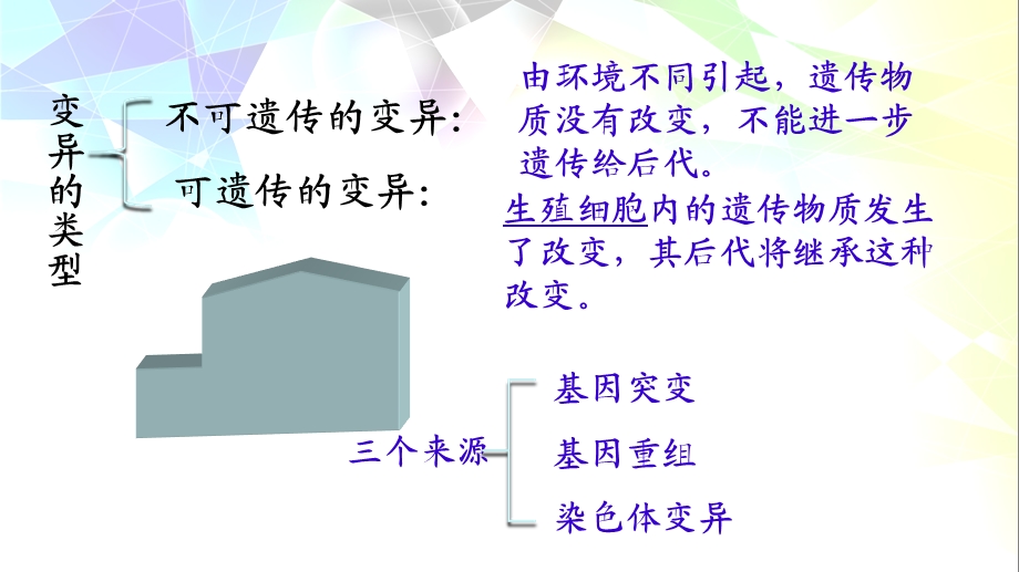 基因突变和基因重组-公开.ppt_第3页