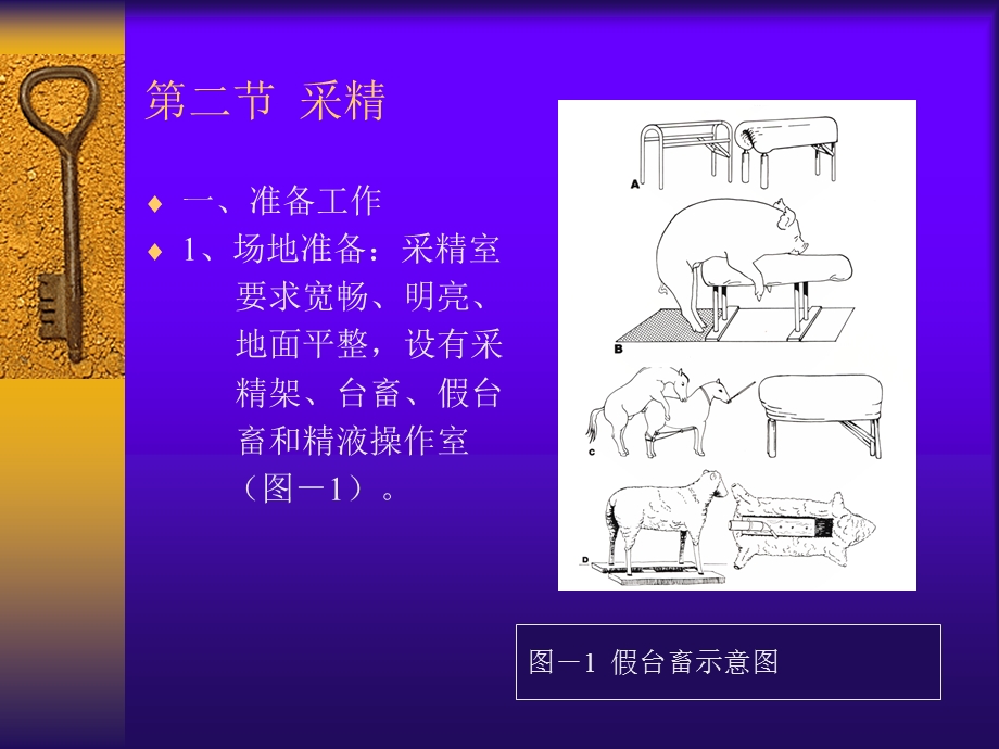 家畜人工授精技术 (2).ppt_第3页