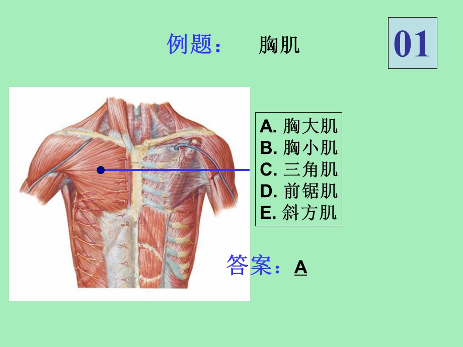 局解实验考试样题.ppt_第3页