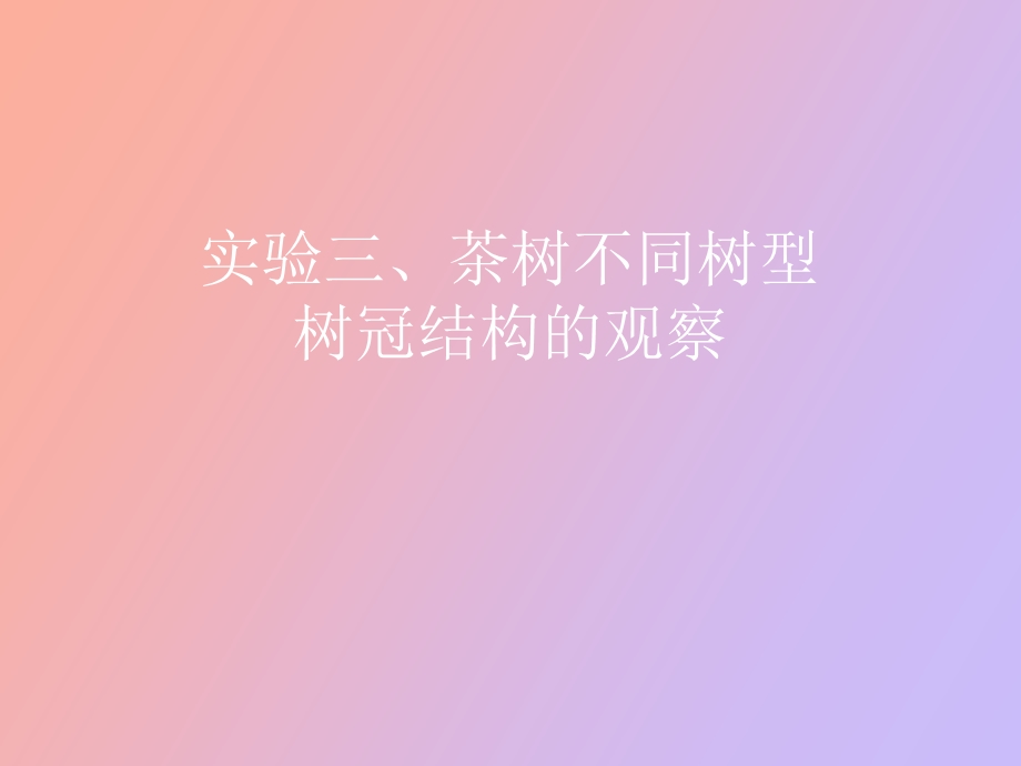 实验茶树不同.ppt_第1页