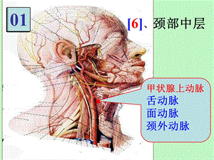 局解实验集锦.ppt