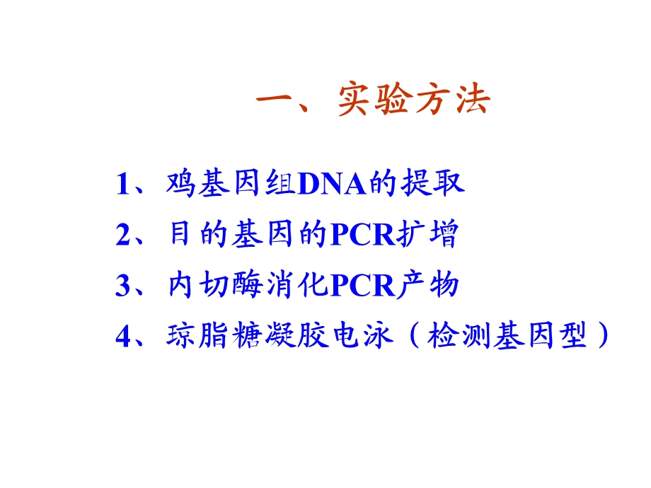 实验七鸡基因组的PCRRFLP分析.ppt_第2页