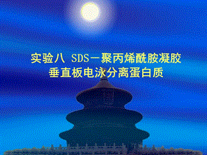 实验八SDS-聚丙烯酰胺凝胶垂直板电泳分离蛋白质.ppt