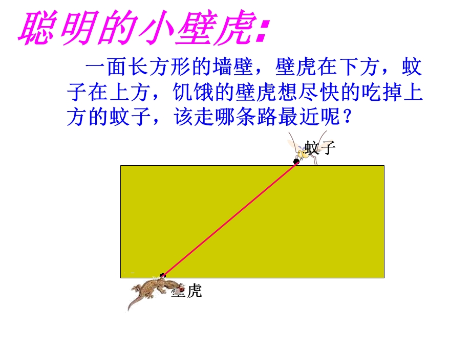 4.3立体图形的表面展开图.ppt_第3页