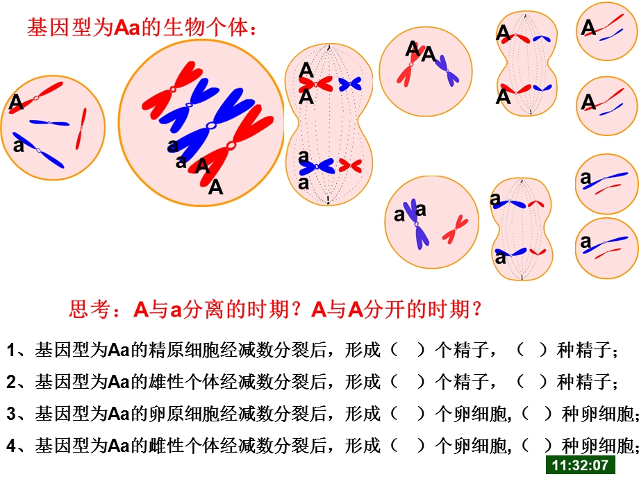 基因的自由组合定律 一轮复习.ppt_第2页