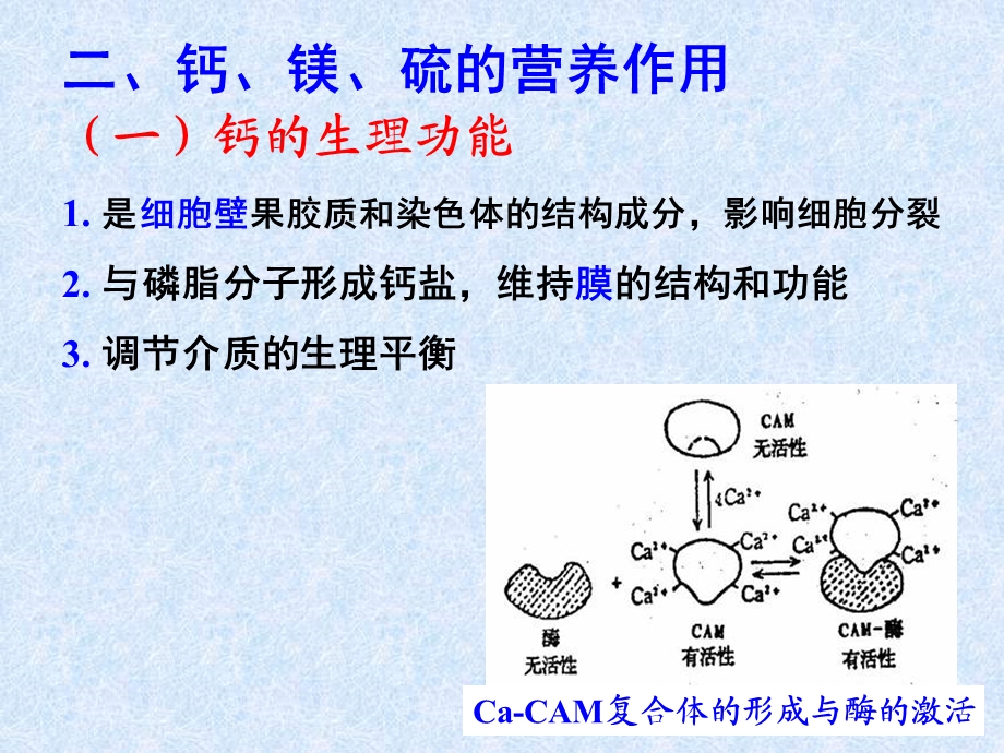 土壤与植物的钙、镁、硫及钙、镁、硫肥.ppt_第3页