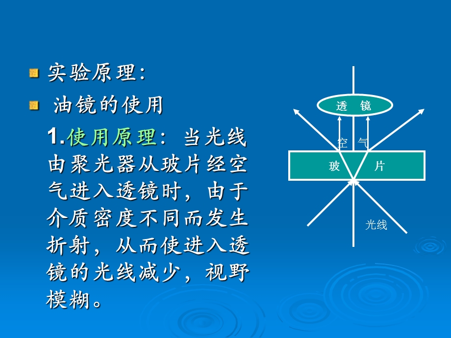 实验一细菌形态学观察.ppt_第3页