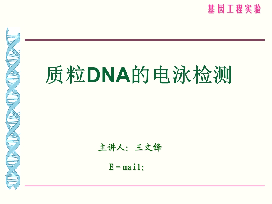 实验七质粒DNA的电泳检测.ppt_第2页