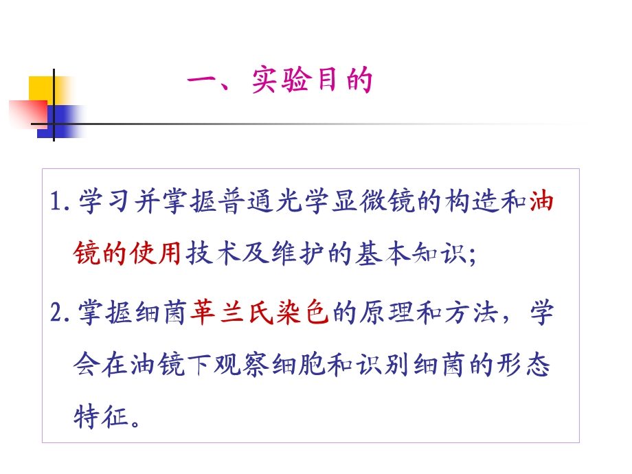 实验二显微镜油镜的使用、细胞形态的观察及革兰氏染色.ppt_第2页