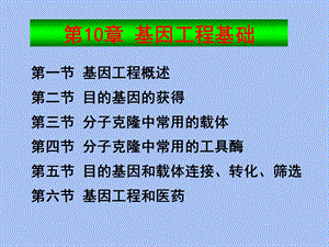 基因工程基础.ppt