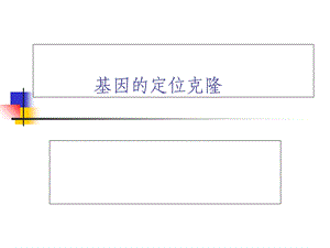 基因的定位克隆.ppt