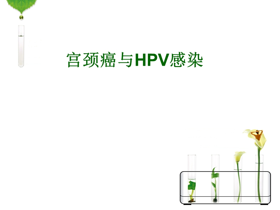 宫颈癌与hpv感染.ppt_第1页