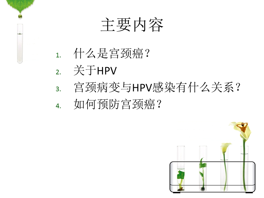 宫颈癌与hpv感染.ppt_第3页