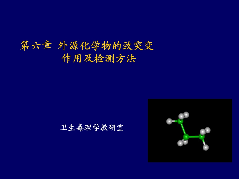 外源化学物致突变作用及检测方法.ppt_第1页