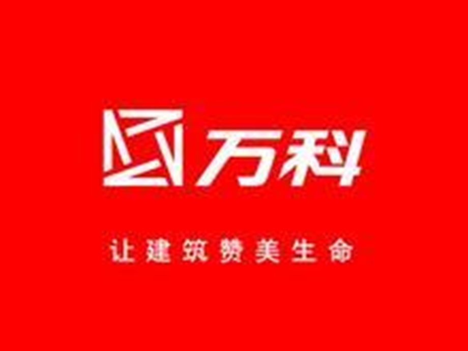 市场营销课作业万科.ppt_第2页