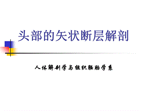 头部的矢状断层解剖.ppt