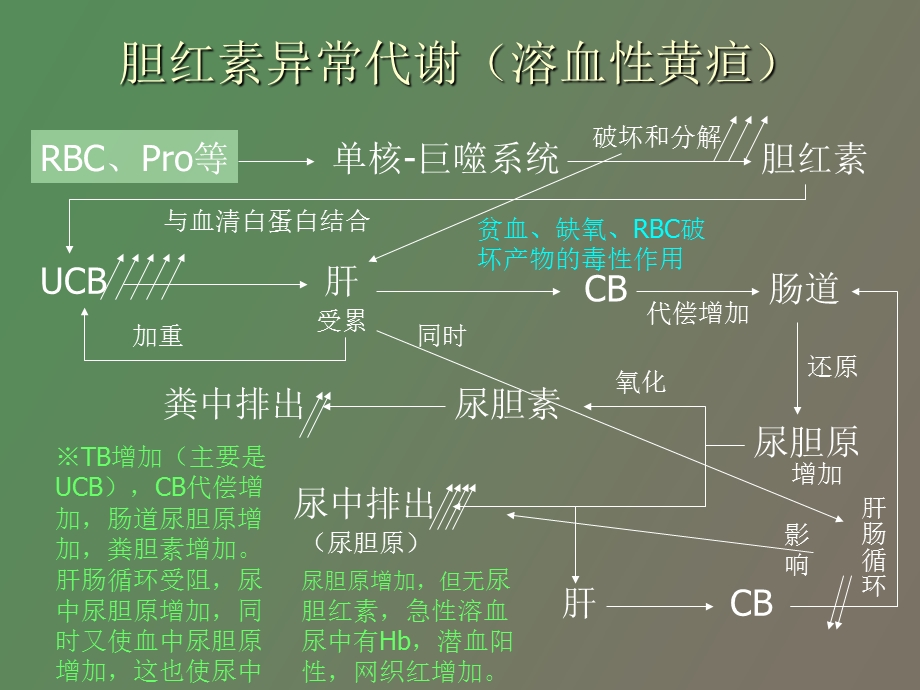 基础肝肠循环.ppt_第3页