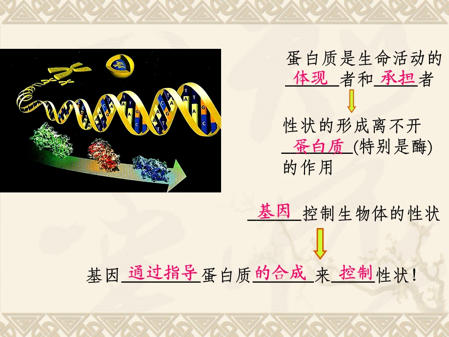 基因指导蛋白质的合成ea.ppt_第1页