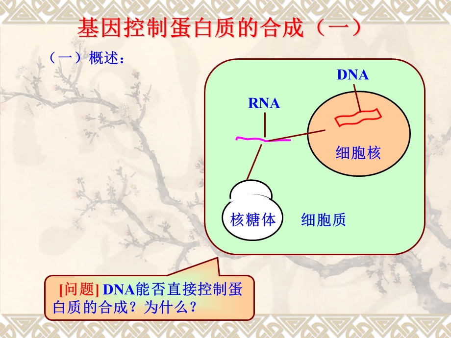 基因指导蛋白质的合成ea.ppt_第3页