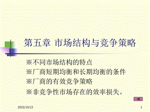 市场结构与竞争策略.ppt