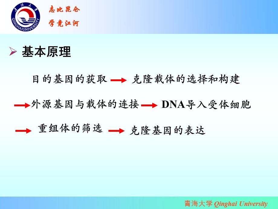 实验四、PCR产物的T载体克隆和转化.ppt_第3页