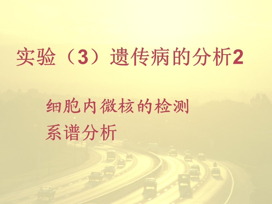 实验3遗传病的分析.ppt_第1页